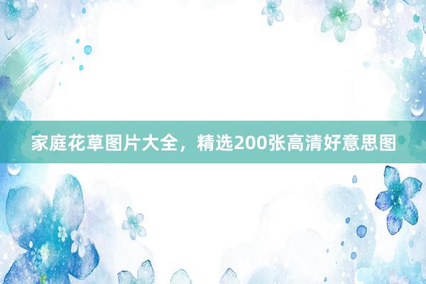 家庭花草图片大全，精选200张高清好意思图