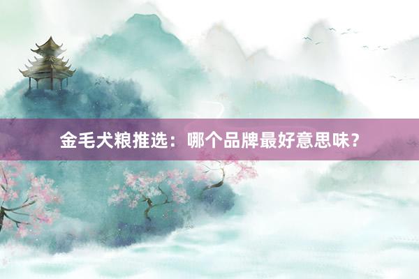 金毛犬粮推选：哪个品牌最好意思味？